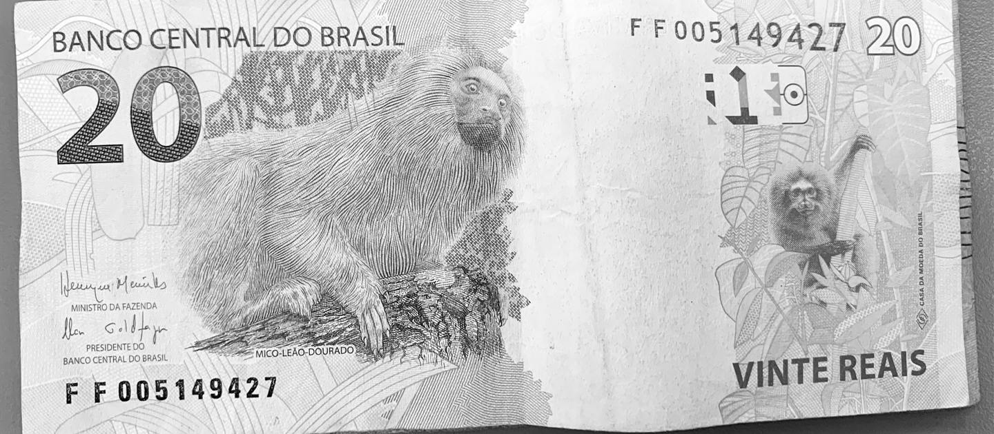 Primer plano de un billete brasileño de 20 reales